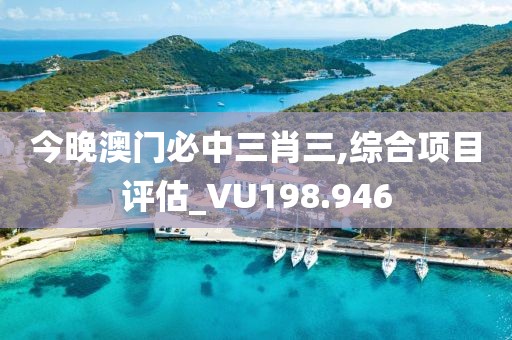 今晚澳门必中三肖三,综合项目评估_VU198.946