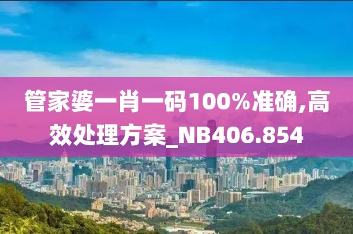 管家婆一肖一码100%准确,高效处理方案_NB406.854