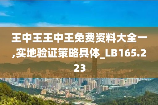 王中王王中王免费资料大全一,实地验证策略具体_LB165.223