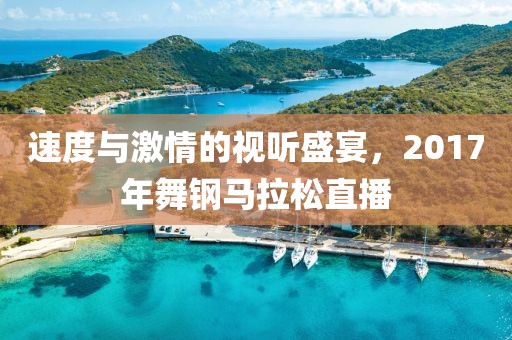 速度与激情的视听盛宴，2017年舞钢马拉松直播