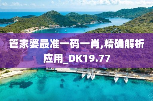 管家婆最准一码一肖,精确解析应用_DK19.77