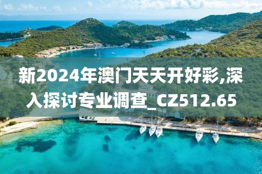 新2024年澳门天天开好彩,深入探讨专业调查_CZ512.65