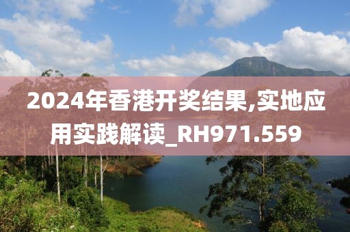 2024年香港开奖结果,实地应用实践解读_RH971.559