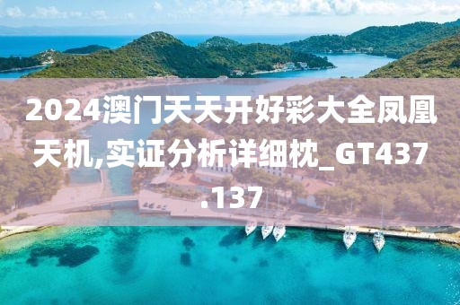 2024澳门天天开好彩大全凤凰天机,实证分析详细枕_GT437.137