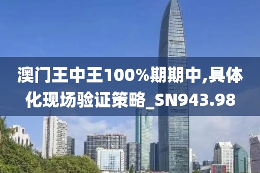 澳门王中王100%期期中,具体化现场验证策略_SN943.98