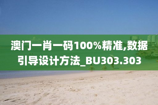澳门一肖一码100%精准,数据引导设计方法_BU303.303