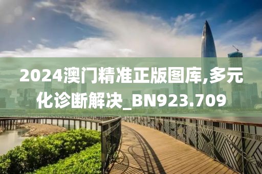 2024澳门精准正版图库,多元化诊断解决_BN923.709