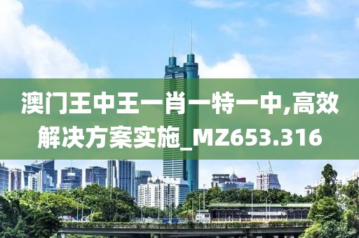 澳门王中王一肖一特一中,高效解决方案实施_MZ653.316