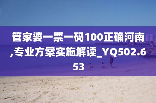 管家婆一票一码100正确河南,专业方案实施解读_YQ502.653