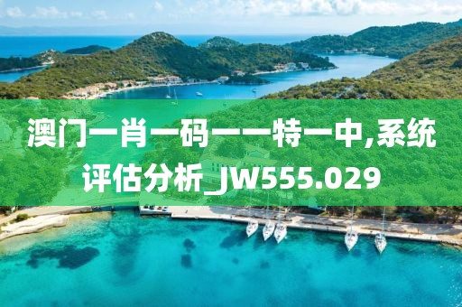 澳门一肖一码一一特一中,系统评估分析_JW555.029