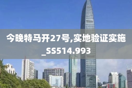 今晚特马开27号,实地验证实施_SS514.993
