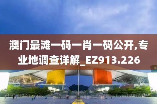 澳门最滩一码一肖一码公开,专业地调查详解_EZ913.226