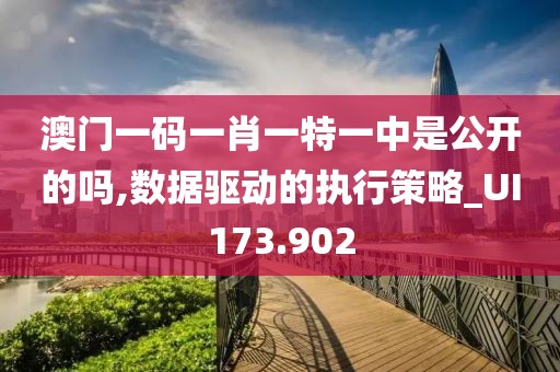 澳门一码一肖一特一中是公开的吗,数据驱动的执行策略_UI173.902