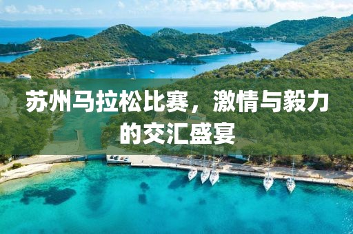 苏州马拉松比赛，激情与毅力的交汇盛宴