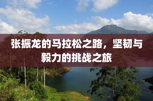 张振龙的马拉松之路，坚韧与毅力的挑战之旅