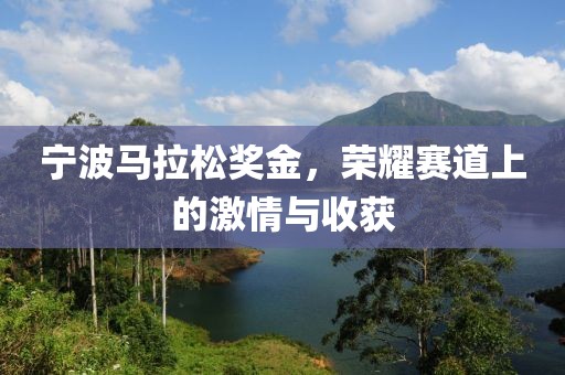 宁波马拉松奖金，荣耀赛道上的激情与收获