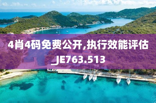 4肖4码免费公开,执行效能评估_JE763.513