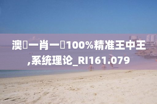 澳門一肖一碼100%精准王中王,系统理论_RI161.079