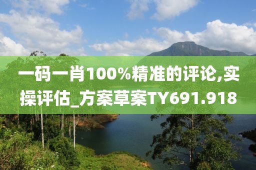 一码一肖100%精准的评论,实操评估_方案草案TY691.918