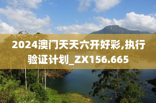 2024澳门天天六开好彩,执行验证计划_ZX156.665