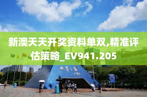 新澳天天开奖资料单双,精准评估策略_EV941.205