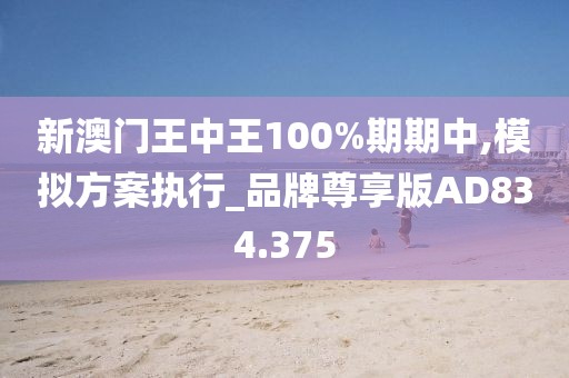 新澳门王中王100%期期中,模拟方案执行_品牌尊享版AD834.375