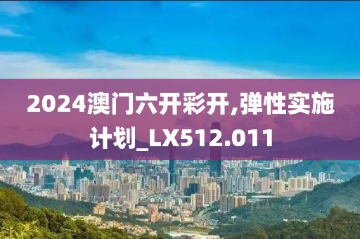 2024澳门六开彩开,弹性实施计划_LX512.011