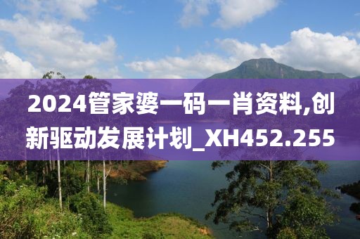 2024管家婆一码一肖资料,创新驱动发展计划_XH452.255