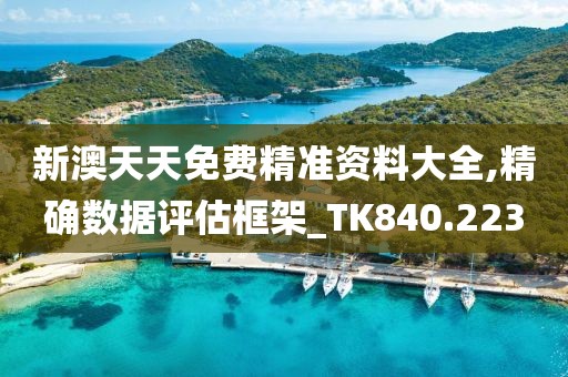 新澳天天免费精准资料大全,精确数据评估框架_TK840.223