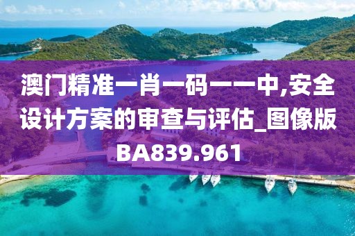 澳门精准一肖一码一一中,安全设计方案的审查与评估_图像版BA839.961