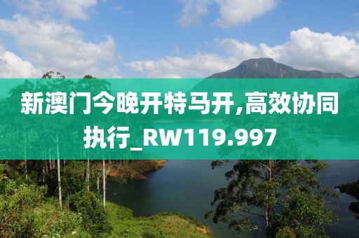 新澳门今晚开特马开,高效协同执行_RW119.997