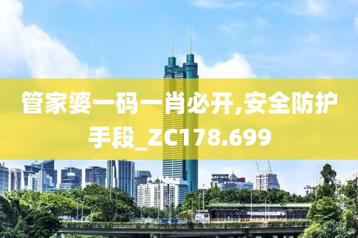 管家婆一码一肖必开,安全防护手段_ZC178.699