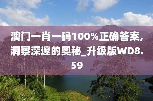 澳门一肖一码100%正确答案,洞察深邃的奥秘_升级版WD8.59