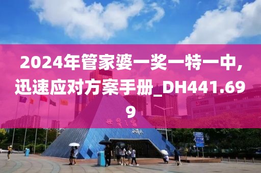 2024年管家婆一奖一特一中,迅速应对方案手册_DH441.699