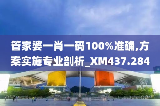 管家婆一肖一码100%准确,方案实施专业剖析_XM437.284
