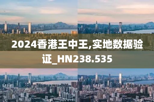 2024香港王中王,实地数据验证_HN238.535