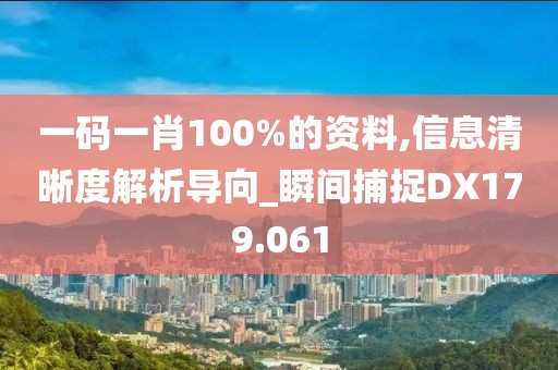 一码一肖100%的资料,信息清晰度解析导向_瞬间捕捉DX179.061