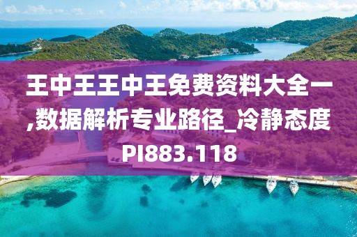 王中王王中王免费资料大全一,数据解析专业路径_冷静态度PI883.118