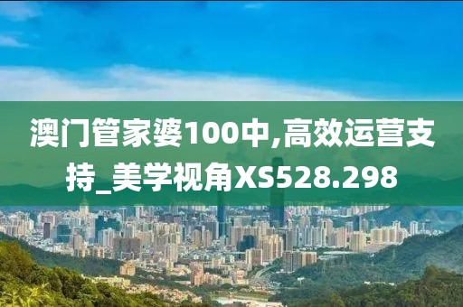 澳门管家婆100中,高效运营支持_美学视角XS528.298