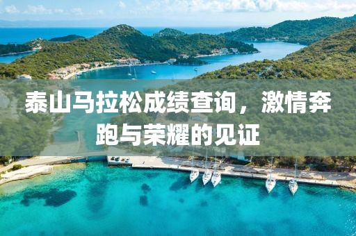 泰山马拉松成绩查询，激情奔跑与荣耀的见证