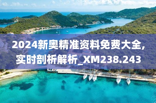 2024新奥精准资料免费大全,实时剖析解析_XM238.243