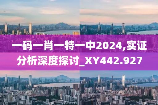 一码一肖一特一中2024,实证分析深度探讨_XY442.927