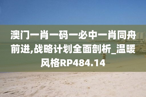 澳门一肖一码一必中一肖同舟前进,战略计划全面剖析_温暖风格RP484.14
