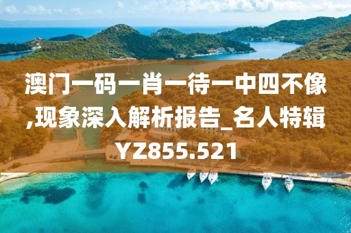 澳门一码一肖一待一中四不像,现象深入解析报告_名人特辑YZ855.521