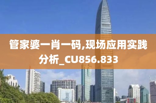 管家婆一肖一码,现场应用实践分析_CU856.833