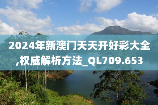 2024年新澳门天天开好彩大全,权威解析方法_QL709.653