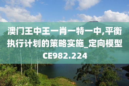 澳门王中王一肖一特一中,平衡执行计划的策略实施_定向模型CE982.224
