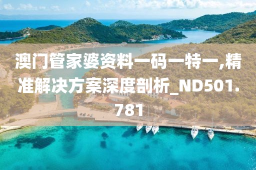 澳门管家婆资料一码一特一,精准解决方案深度剖析_ND501.781