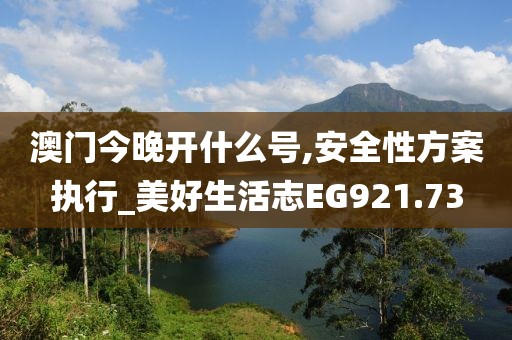澳门今晚开什么号,安全性方案执行_美好生活志EG921.73