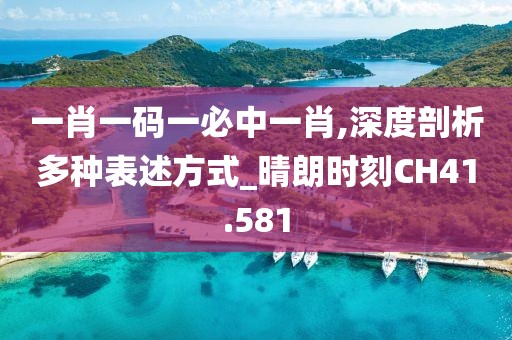 一肖一码一必中一肖,深度剖析多种表述方式_晴朗时刻CH41.581
